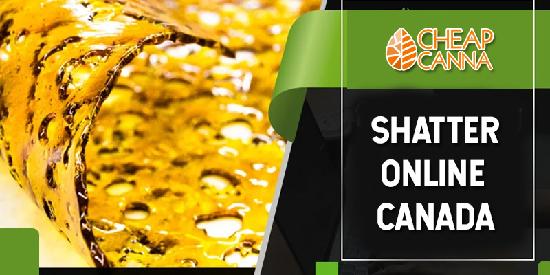 Buy Shatter, Canada: 6 ways to make cannabis extracts