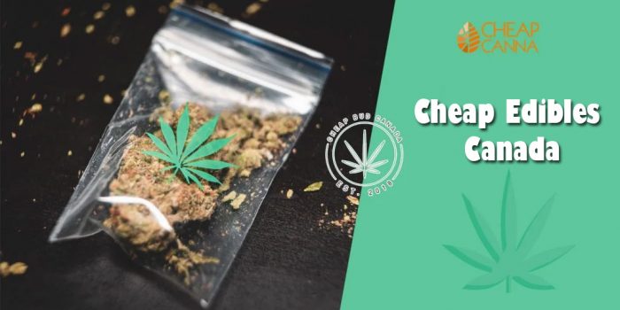 Edibles Canada: Cannabis Cookies Recipe
