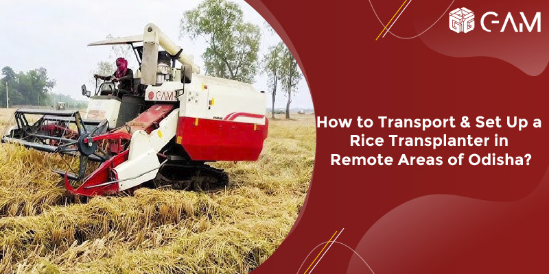 Buy a rice transplanter machine in Andhra Pradesh